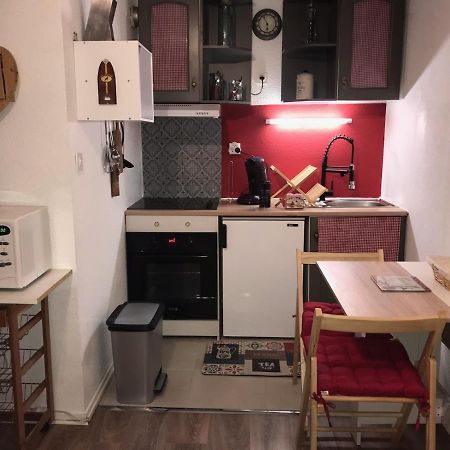 Studio Saint Lary Au Pla D'Adet Saint-Lary-Soulan Exterior foto